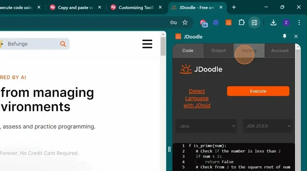 CopyingandPastingCodefromaWebsite-Step3-ezgif.com-webp-to-gif-converter.gif