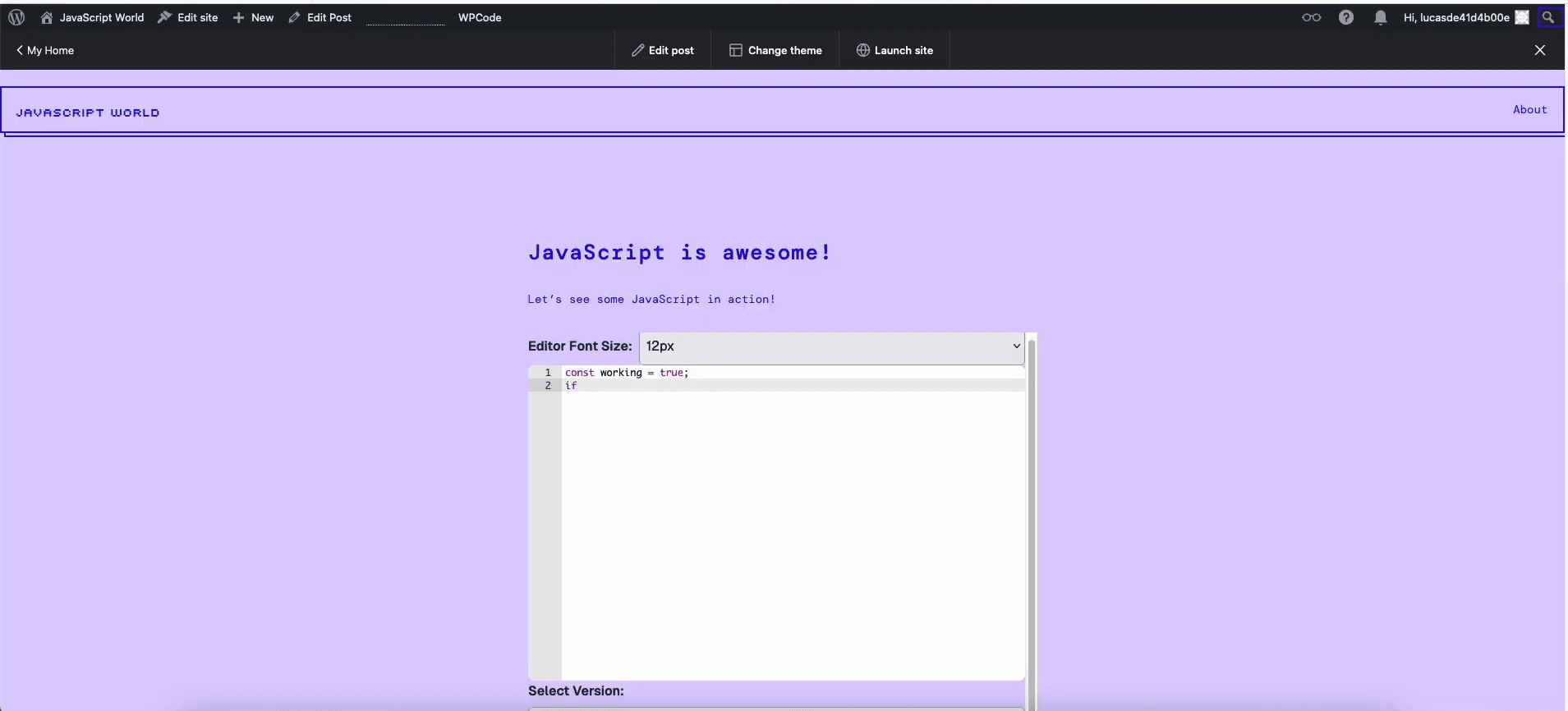 WordPress JDoodle Integration Screenshot